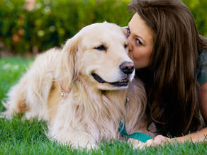 ¿Tener perro podría disminuir el riesgo de un infarto?