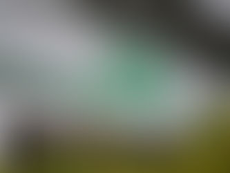 CFE buscará más contenido local en adquisiciones