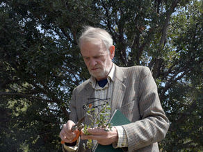 Trabaja BUAP para la conservación de encinos en México y América Central