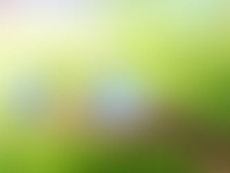 Un hogar: Día Mundial del Medio Ambiente