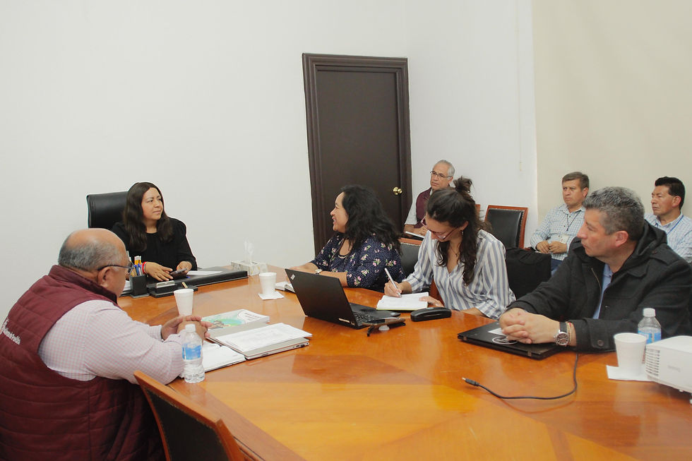 El gobierno de Puebla que encabeza Sergio Salomón, a través de la Secretaría de Desarrollo Rural llevó a cabo un panel virtual para y conmemorar el Día del Agrónomo