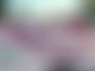 Encabeza UTH conmemoración del aniversario de Benito Juárez y el desfile de primavera 2026