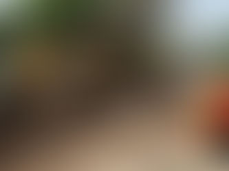 Pepe Chedraui supervisa obras de rehabilitación vial en San Baltazar Campeche