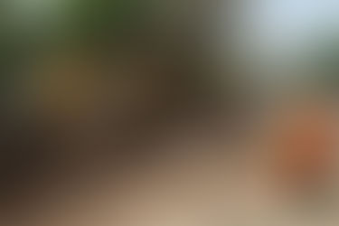 Pepe Chedraui supervisa obras de rehabilitación vial en San Baltazar Campeche