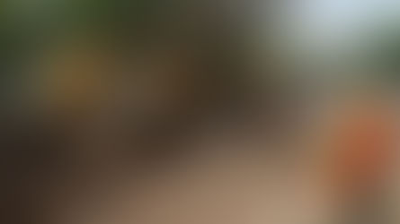 Pepe Chedraui supervisa obras de rehabilitación vial en San Baltazar Campeche