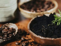 ¿Café para tus plantas? Los 4 beneficios que no conocías
