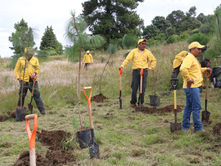Dice Armenta: “En Puebla protegemos el medio ambiente”