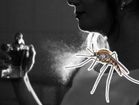 Olores que no debes usar en tu piel si no quieres que te piquen los mosquitos