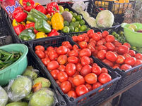 Lluvias causan daños en cosechas y elevan precios de verduras y hortalizas