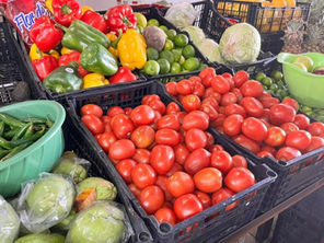 Lluvias causan daños en cosechas y elevan precios de verduras y hortalizas