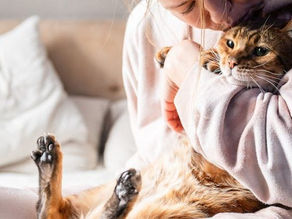 Así impacta en nuestro cerebro tener un gato como mascota