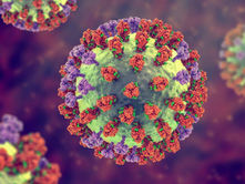 Ha llegado: Esto es lo que debes saber de la influenza H3N2