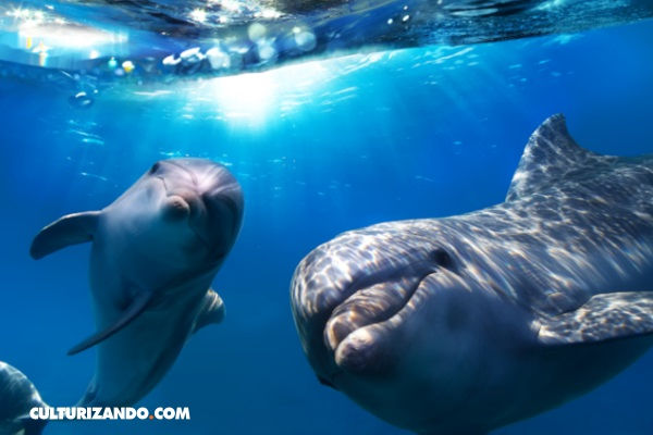 Foto: Culturizando.com