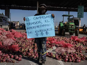 Asegura Sheinbaum que hay “otros intereses” atrás de  manifestaciones de agricultores