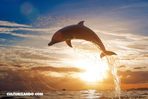 Foto: Culturizando.com