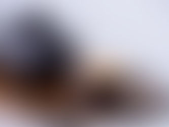 Beneficios del té negro para la salud