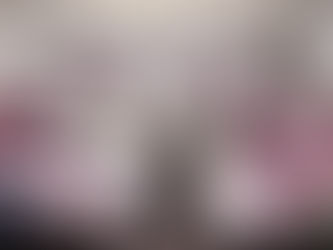 Sheinbaum se reúne con Céspedes y Armenta para definir proyectos en la entidad