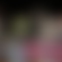 Revitaliza Pepe Chedraui fuente del Parque Rómulo O’Farril Silva