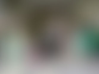 Promueve UTH emprendimiento, creatividad e innovación con Semana de la Moda