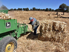 Impulsa Gobierno de Tlaxcala crecimiento y transformación del sector agropecuario