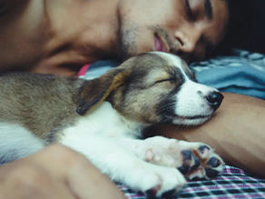 ¿Es bueno dormir con tu mascota? Pros y contras para la salud