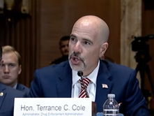 “Altos funcionarios mexicanos y narcos han estado en la cama por año"; esto apenas comienza", asegura Terry Cole
