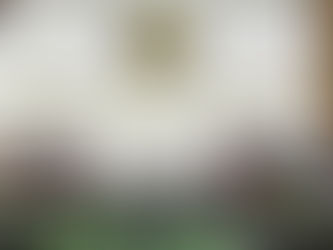 Confirma el INE que no habrá candidato presidencial independiente en 2024