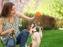 La psicología lo confirma: tu perro refleja perfectamente si eres una persona introvertida o extrovertida