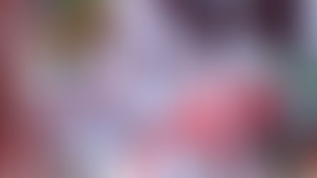 Los suspirantes” de Morena en plena campaña anticipada