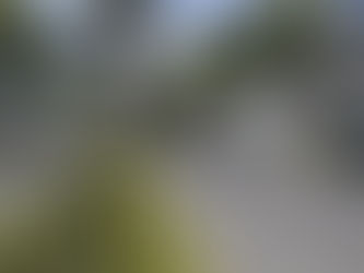 Ayuntamiento iniciará obras de rehabilitación en Avenida Juárez