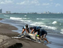 Derrames e incendios en instalaciones evidencian deterioro en infraestructura de Pemex