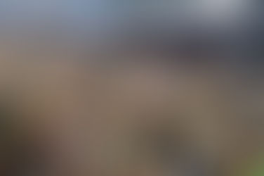 Carnavales: El saldo blanco no se canta… se confirma