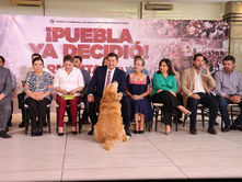 Dice Armenta que de ganar, su sexenio será el sexenio del cuidado del medio ambiente y de los seres sintientes