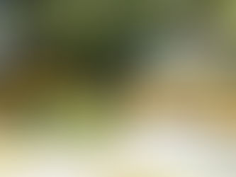 CEASPUE realiza trabajos de limpieza del Atoyac