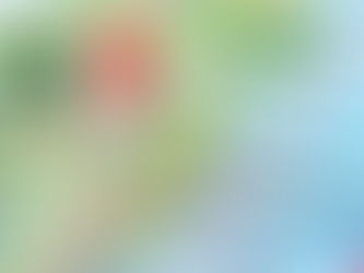 ¿Belice se separó de México? Así terminó siendo vecino y no un estado más del país