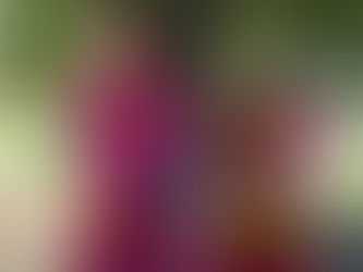 Día Internacional del Pueblo Gitano