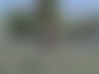 Estudiante BUAP participará en Street Soccer Tournament Wroclaw Cup 2026