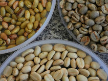 Importancia del café en la salud: beneficios, riesgos y consumo recomendado