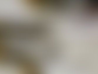 Reforma Electoral avanza en comisiones de la Cámara de Diputados