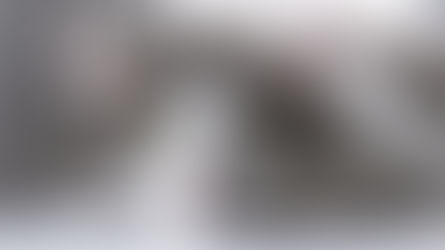 Formas en que tu gato te demuestra que te ama