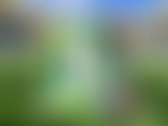 Ayuntamiento invita a Megaintercambio de Estampas