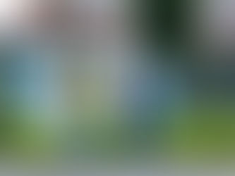 Intensifica Gobierno de Pepe Chedraui trabajos de bacheo en el Barrio El Refugio