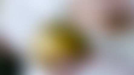 Publican en DOF reforma para limitar pensiones doradas de funcionarios