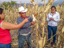 Gobierno de Tlaxcala y agricultores instalarán mesa de diálogo