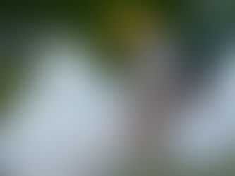 Acumula México más de 3 mil 500 casos de dengue; se concentran más en Jalisco