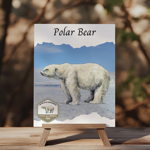 Polar Bear Nature Study | FTL of Homeschooling