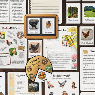 Raising Your Flock Guide