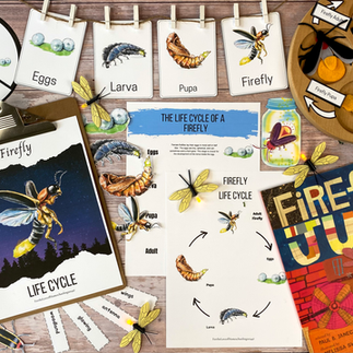 Firefly Unit