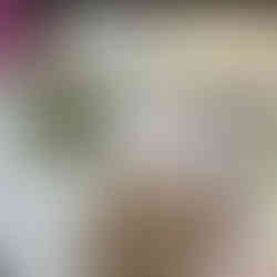  Pink Orchid Mantis Unit