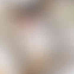 Guide to Raising Chickens